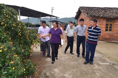 ����Э����ϯ��־����ϯ�����򡰲����������﷫����ƶ������������ʽ